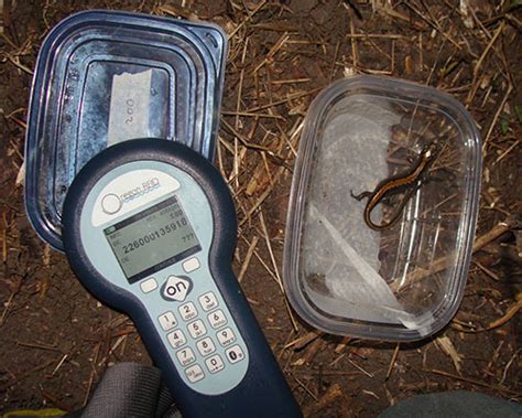 oregon rfid pit tag weight|oregon rfid pit tag readers.